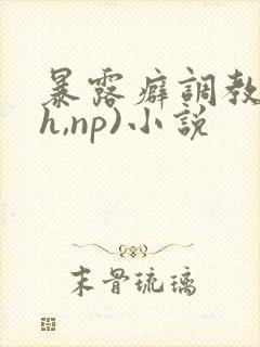 暴露癖调教(高h,np)小说