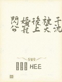 闪婚后被千亿老公宠上天沈沐