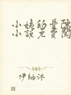 小姨的爱陈凌轩小说免费阅读