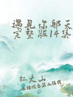 遇见你那天免费完整版14集