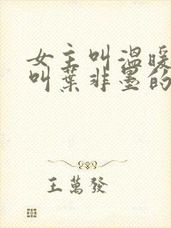 女主叫温暖男主叫叶非墨的小说名字