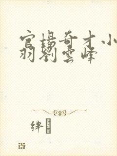 官场奇才小说陆羽刘云峰