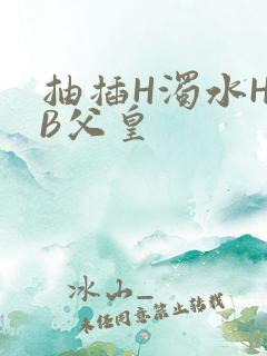 抽插H浊水H嫩B父皇