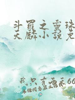 斗罗之灵珠神剑天麟小说免费阅读全文无窗口