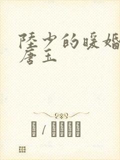 陆少的暖婚新妻唐玉