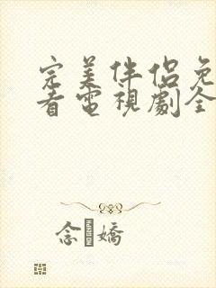 完美伴侣免费观看电视剧全集