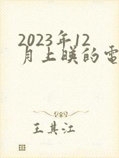 2023年12月上映的电影
