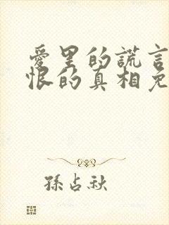 爱里的谎言,仇恨的真相免费