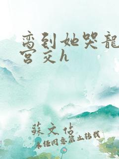 脔到她哭龙双根宫交h