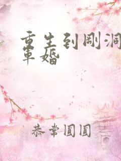 重生到刚洞房的军婚