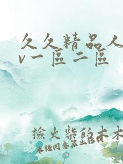 久久精品人妻av一区二区