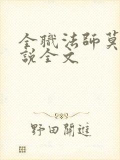 全职法师莫凡小说全文