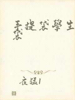 手提袋学生拎书袋