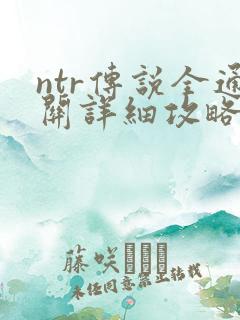 ntr传说全通关详细攻略