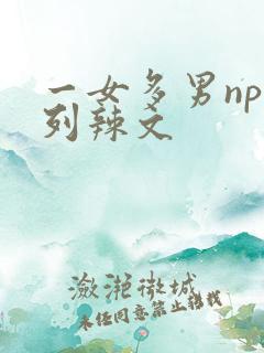 一女多男np系列辣文