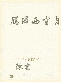 雁归西窗月小说