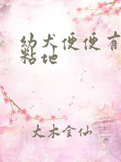 幼犬便便有点软粘地