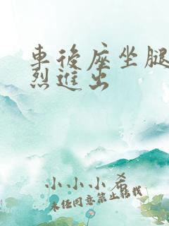 车后座坐腿上猛烈进出