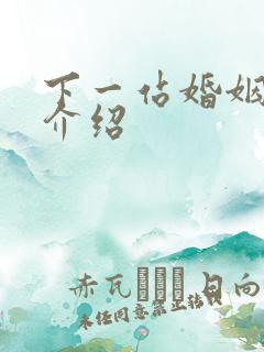 下一站婚姻剧情介绍