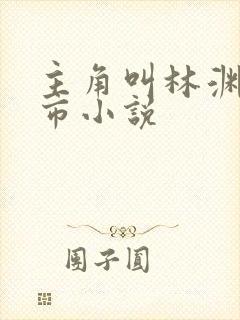 主角叫林渊的都市小说