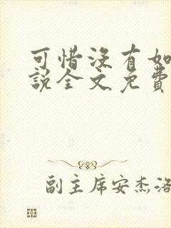 可惜没有如果小说全文免费阅读