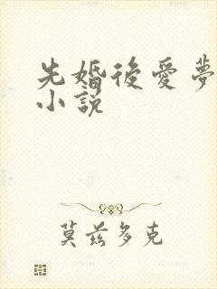 先婚后爱梦筱二小说