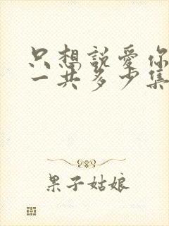 只想说爱你泰剧一共多少集