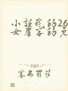 小说我的26岁女房客的免费阅读