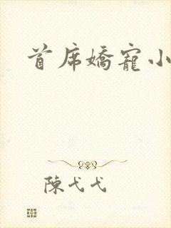 首席娇宠小情人