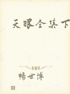 天眼全集下载