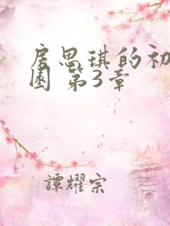 房思琪的初恋乐园 第3章