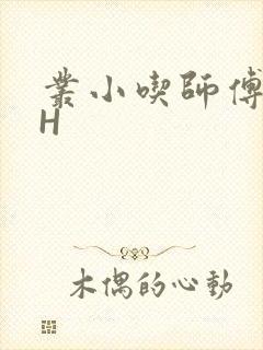 丛小吃师傅的HH