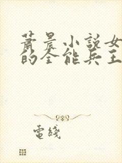 萧晨小说女总裁的全能兵王