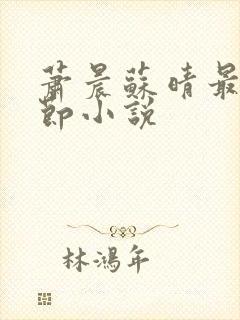 萧晨苏晴最新章节小说