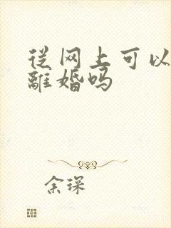 从网上可以起诉离婚吗