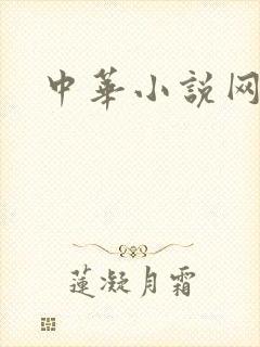 中华小说网