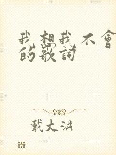 我想我不会爱你的歌词