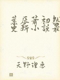 叶辰萧初然最快更新小说最新章节