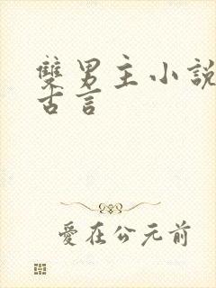 双男主小说推荐古言