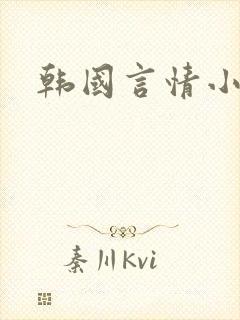 韩国言情小说