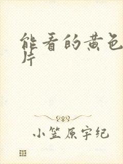 能看的黄色一级片