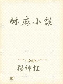 酥麻小说