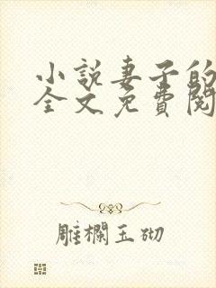 小说妻子的秘密全文免费阅读全文