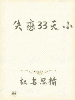 失恋33天小说