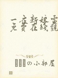 一夜新娘电视剧免费在线观看