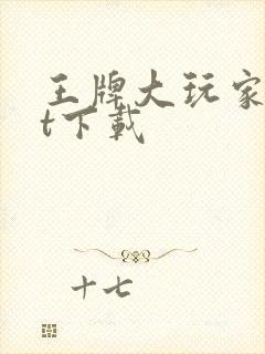 王牌大玩家txt下载