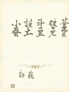 小说斗破苍穹天蚕土豆免费阅读