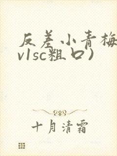 反差小青梅(1v1sc粗口)