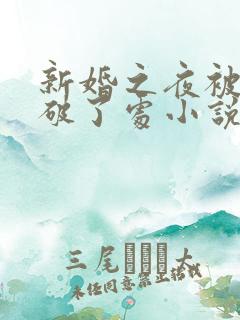 新婚之夜被宾客破了处小说
