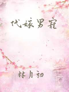 代嫁男宠